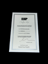 CUSTOM SHOP BILL KELLIHER ROYAL SHIVA | SILVER SUNBURST GLOSS