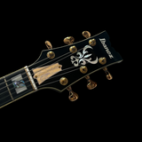 John Scofield Signature JSM100 | Vintage Burst