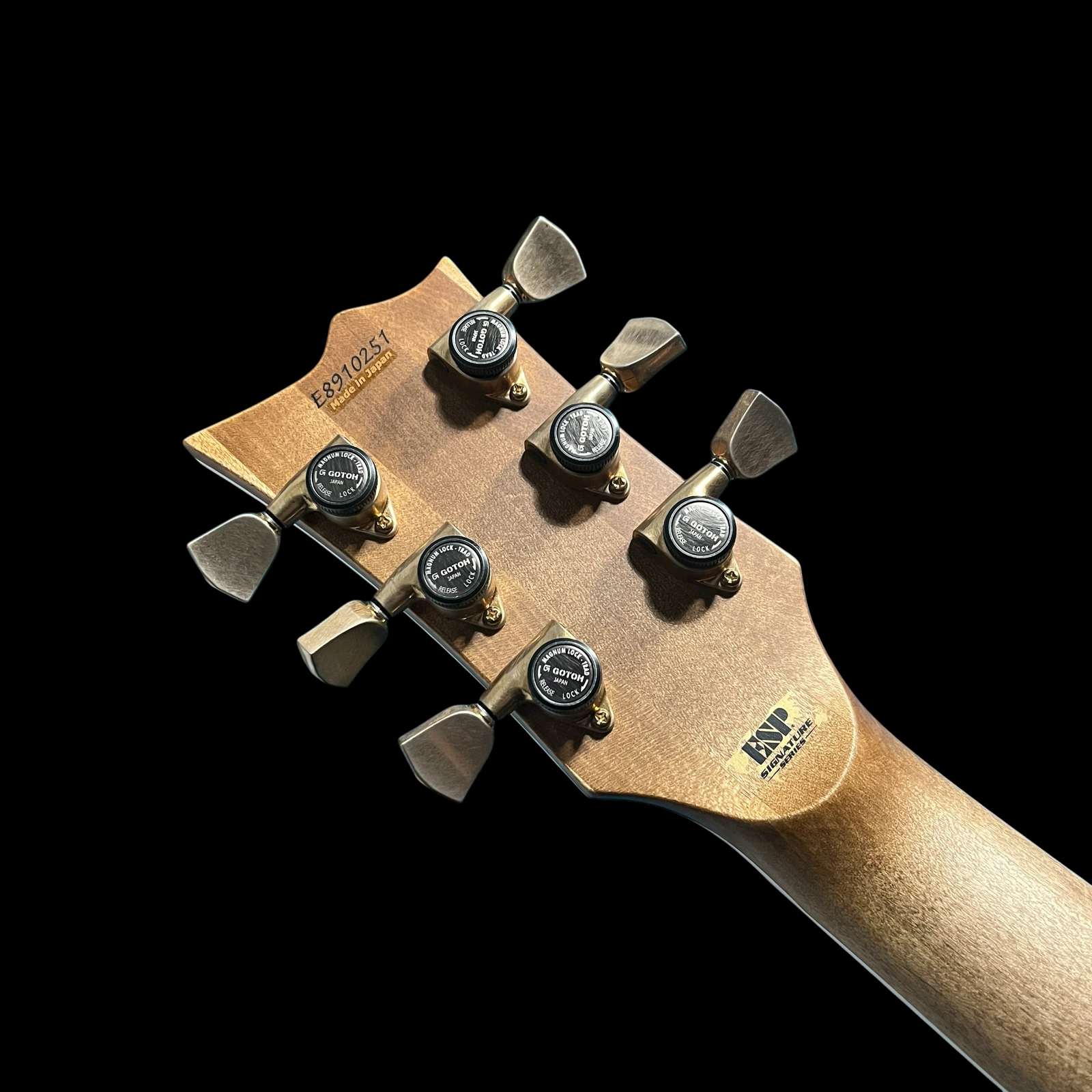 ESP Will Adler Warbird | Distressed Black with Graphic – Brookline