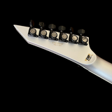 HORIZON-I CUSTOM SHOP | SILVER SATIN